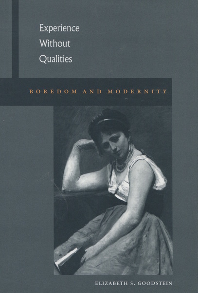 Cover of Experience Without Qualities by Elizabeth S. Goodstein